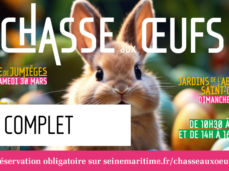 Chasse aux oeufs